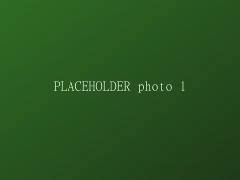PLACEHOLDER A green gradient standing in for a photo of me